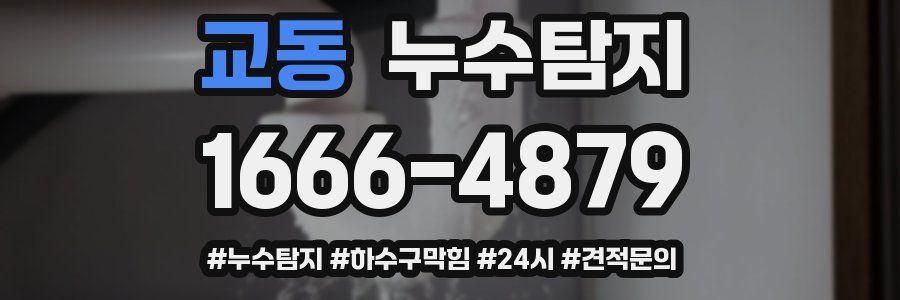 누수닥터 누수탐지