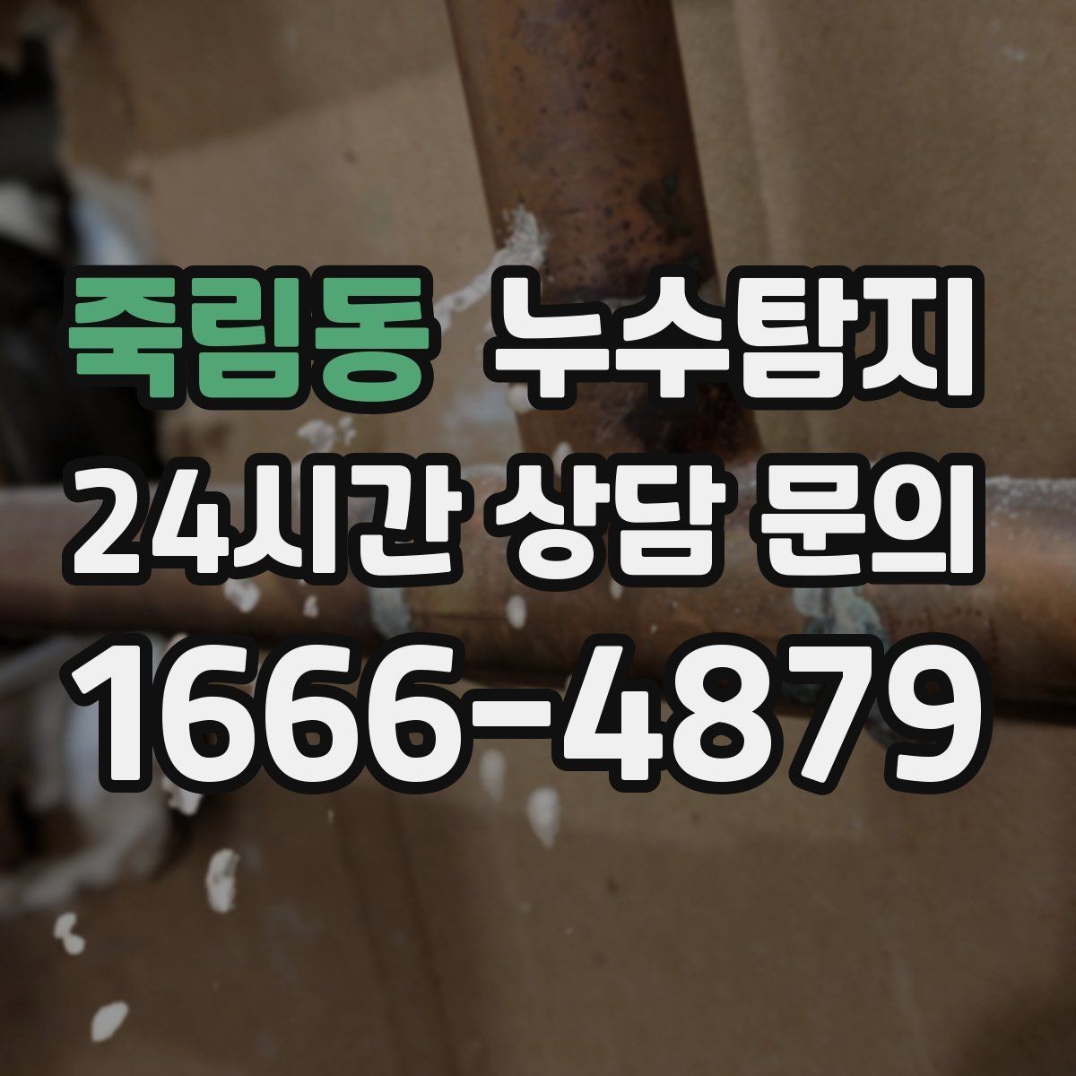 죽림동 누수탐지 카페 천장 얼룩 복구를 해야할 때