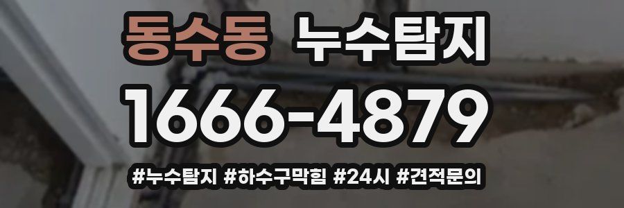 누수닥터 누수탐지