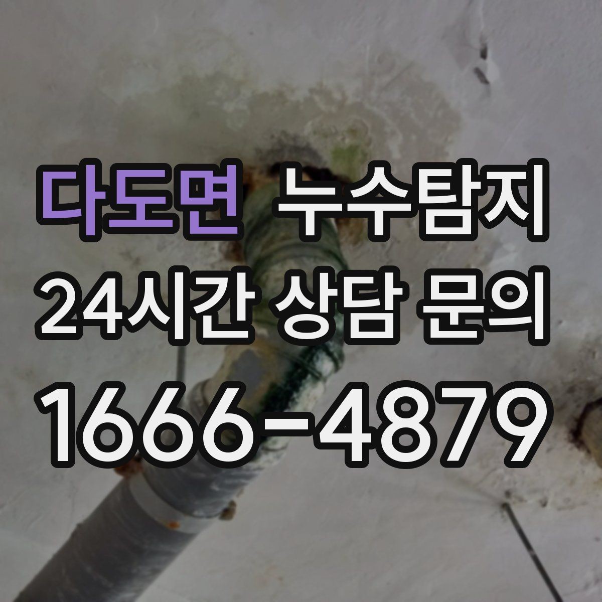 다도면 누수탐지 옥상 파라펫 균열 점검 일지