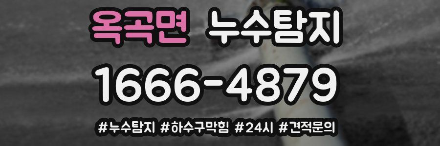 누수닥터 누수탐지
