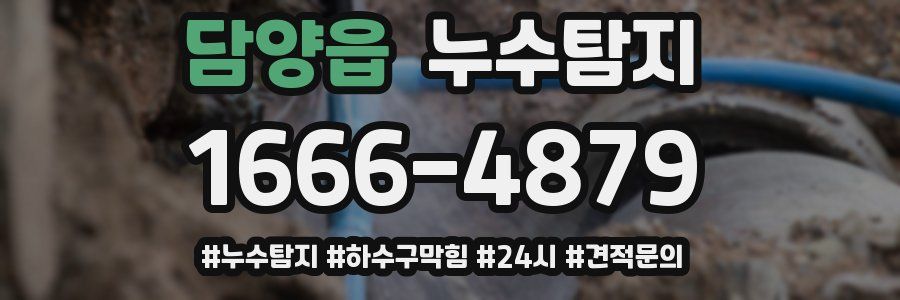 누수닥터 누수탐지