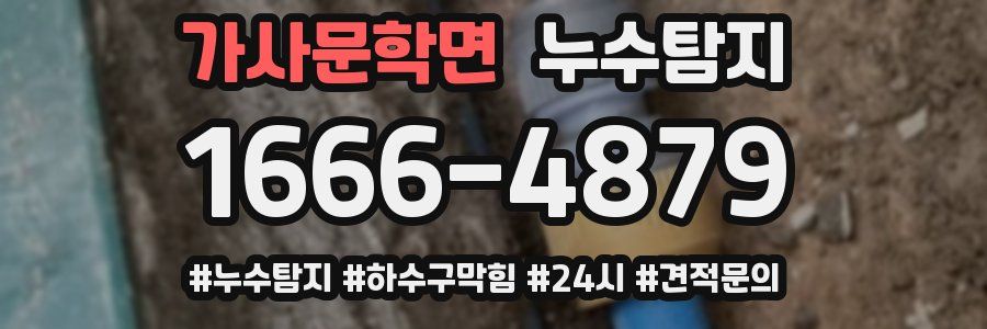 누수닥터 누수탐지