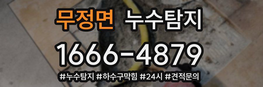 누수닥터 누수탐지