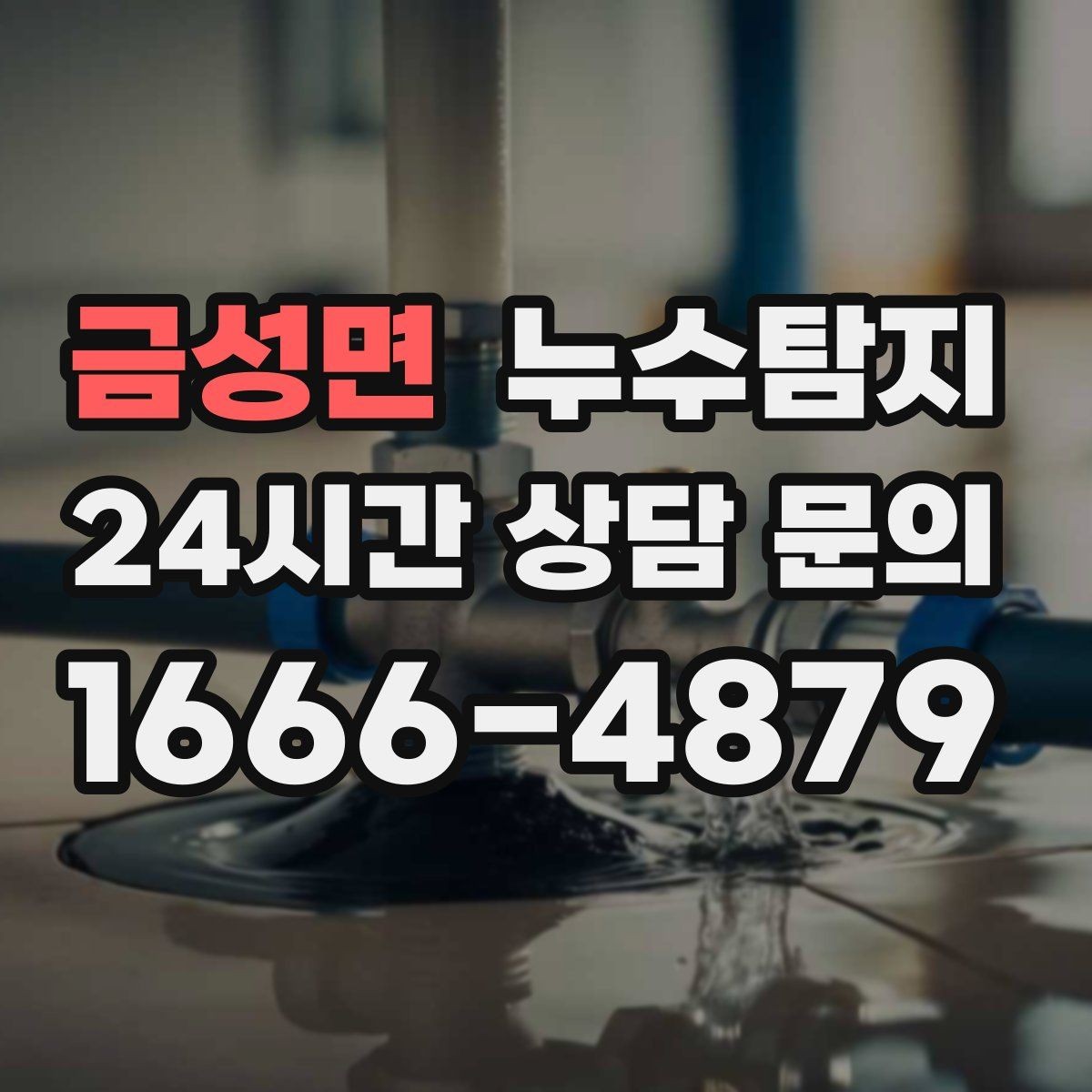 금성면 누수탐지 사후 재점검으로 안심한 이유