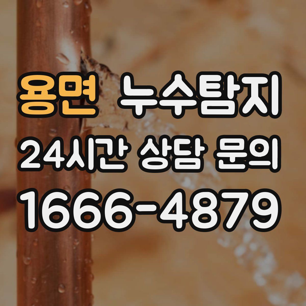 누수탐지