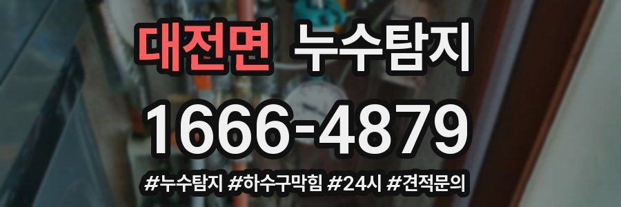 누수닥터 누수탐지