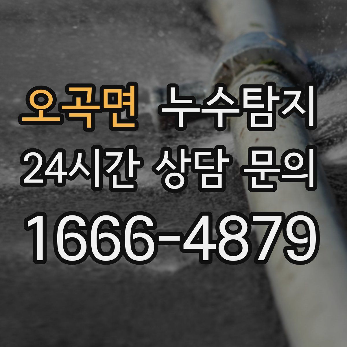 누수탐지