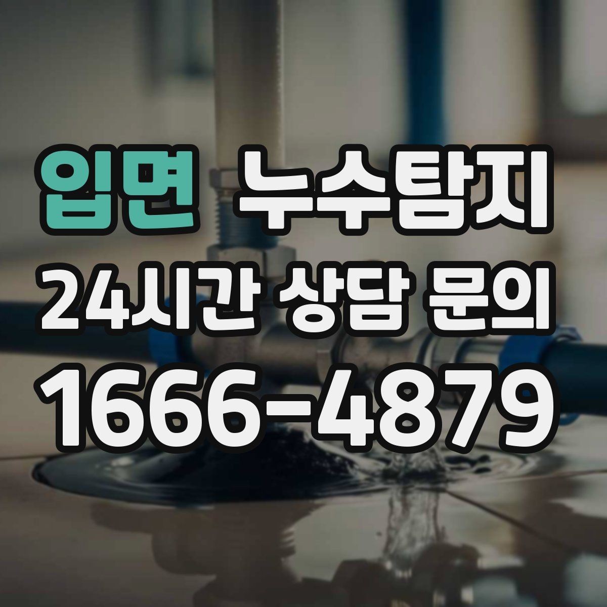 입면 누수탐지 천정 점검구 활용한 빠른 판정
