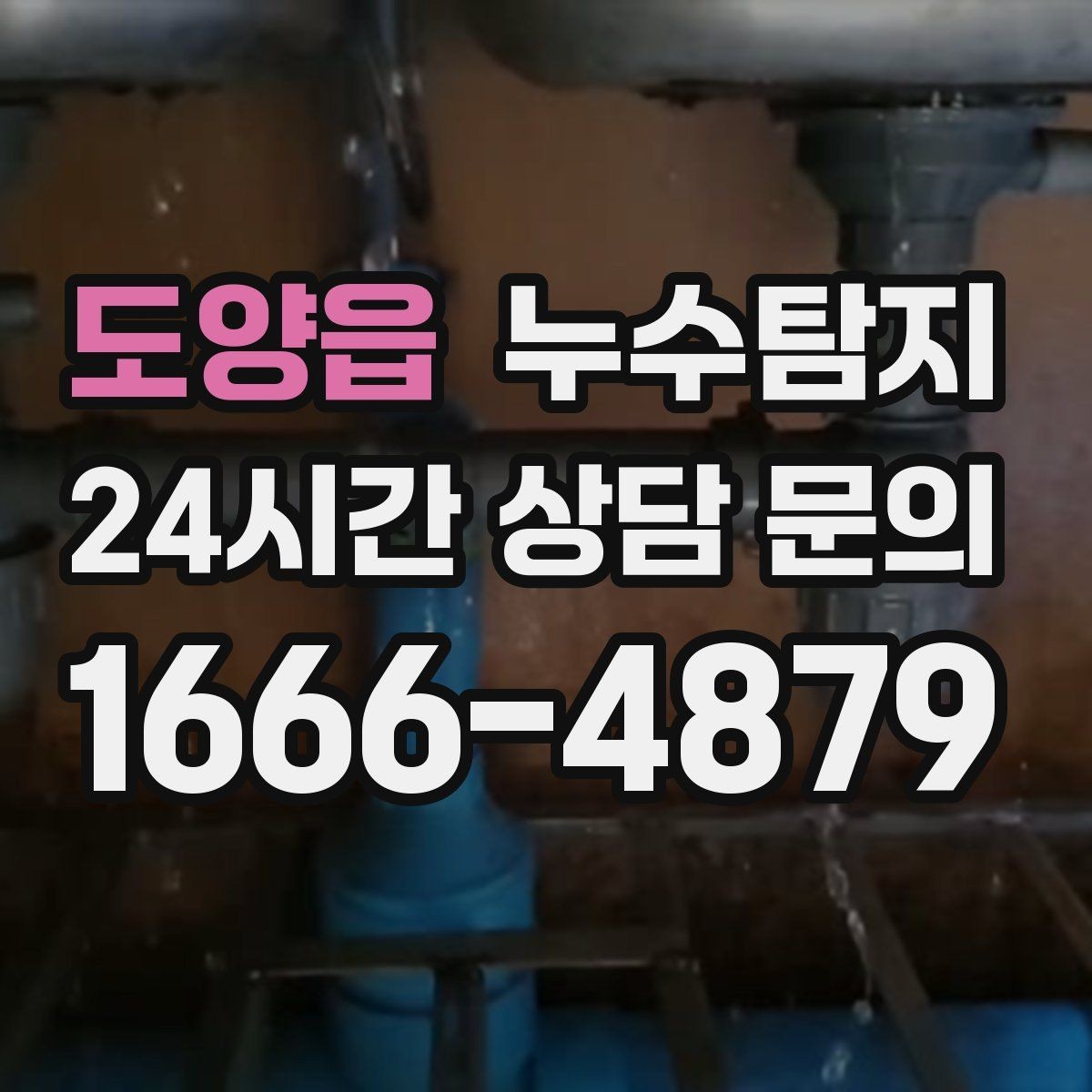 도양읍 누수탐지 드레스룸 곰팡이 청결 회복