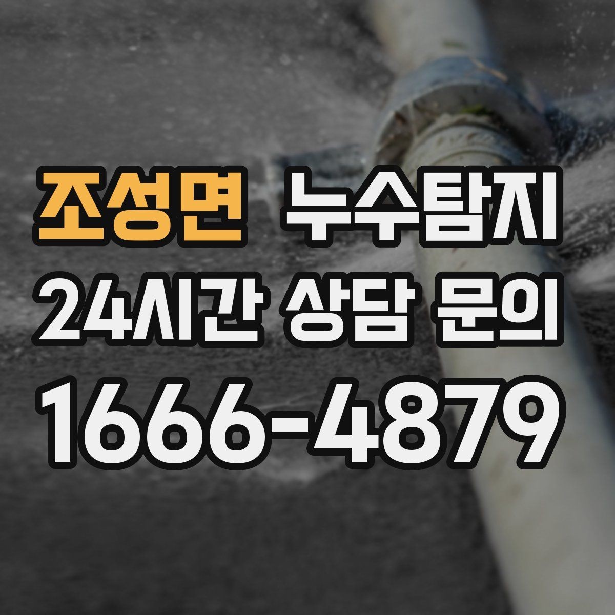 조성면 누수탐지 반지하 습기 문제 해결기