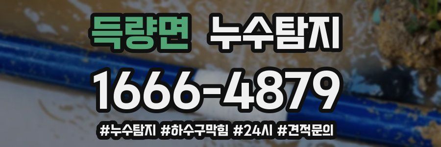 누수닥터 누수탐지