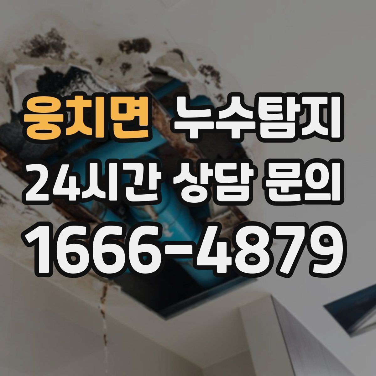 웅치면 누수탐지 사소한 증상이 알려준 큰 위험