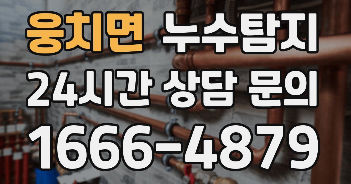 하수구막힘