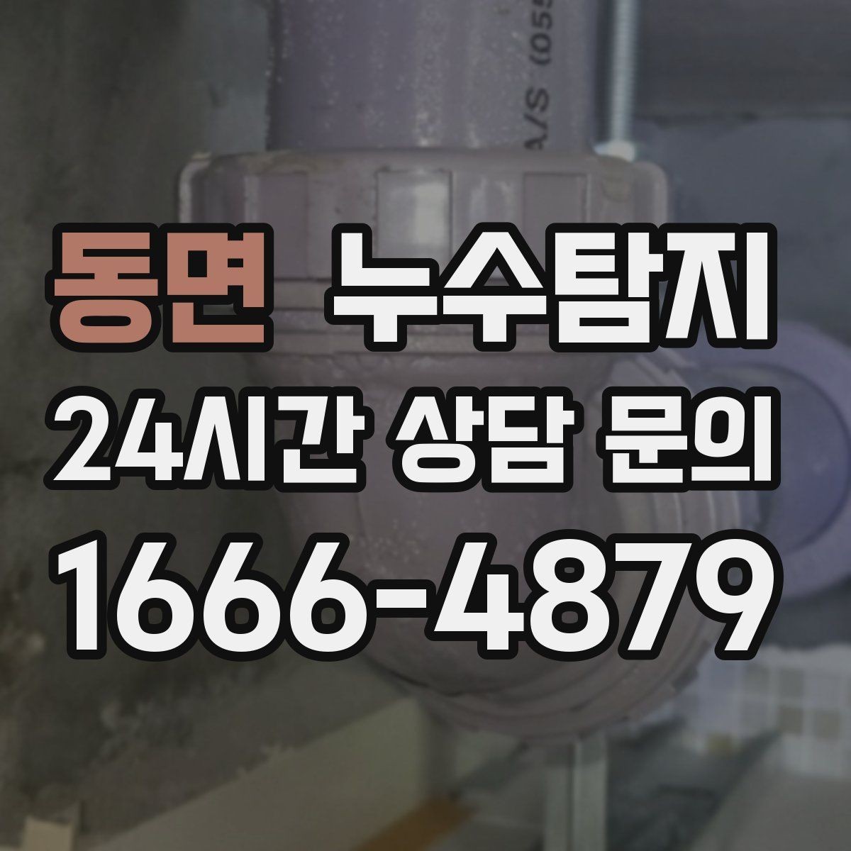동면 누수탐지 드레스룸 곰팡이 없앤 하루