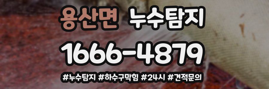 누수닥터 누수탐지