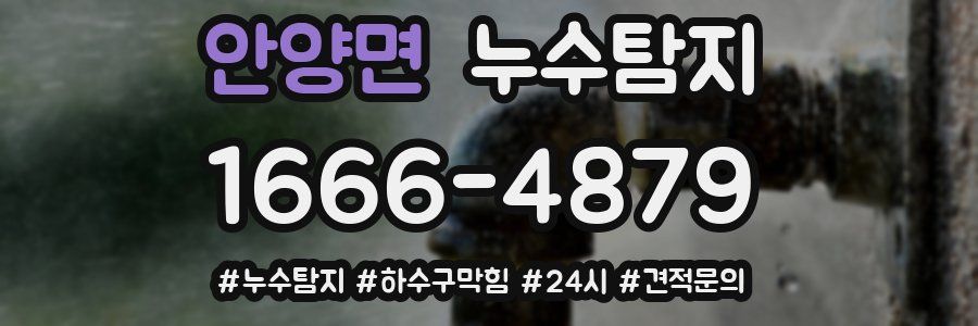 누수닥터 누수탐지