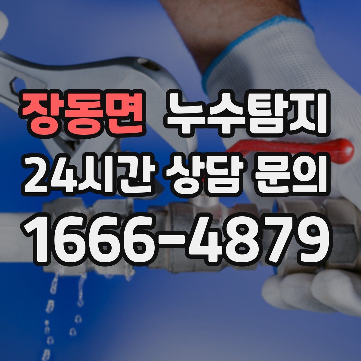 장동면 누수탐지 우리 가족을 지킨 빠른 판단
