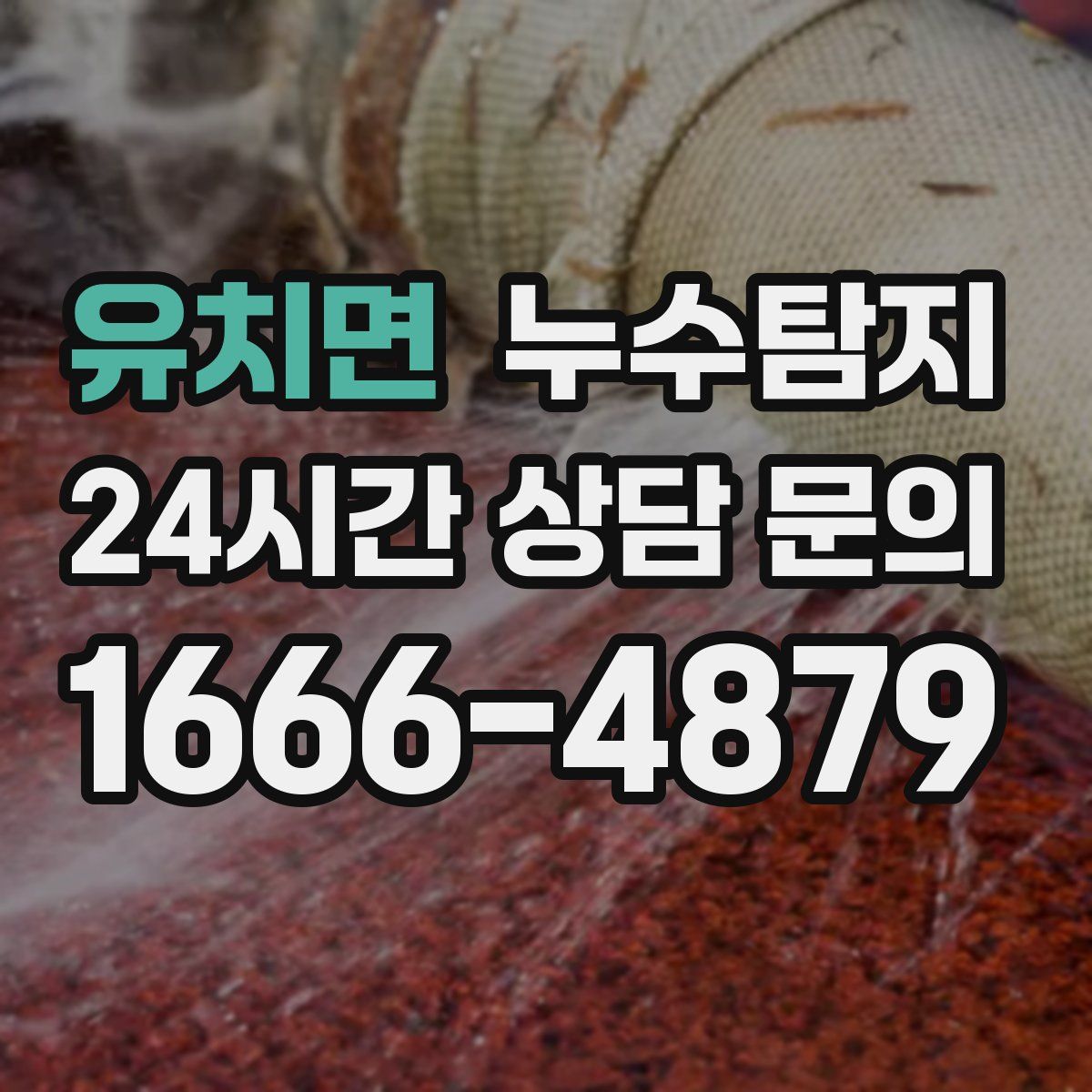 누수탐지