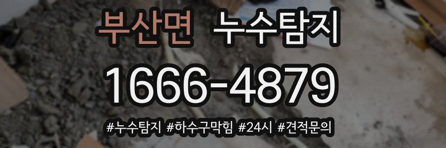 누수닥터 누수탐지