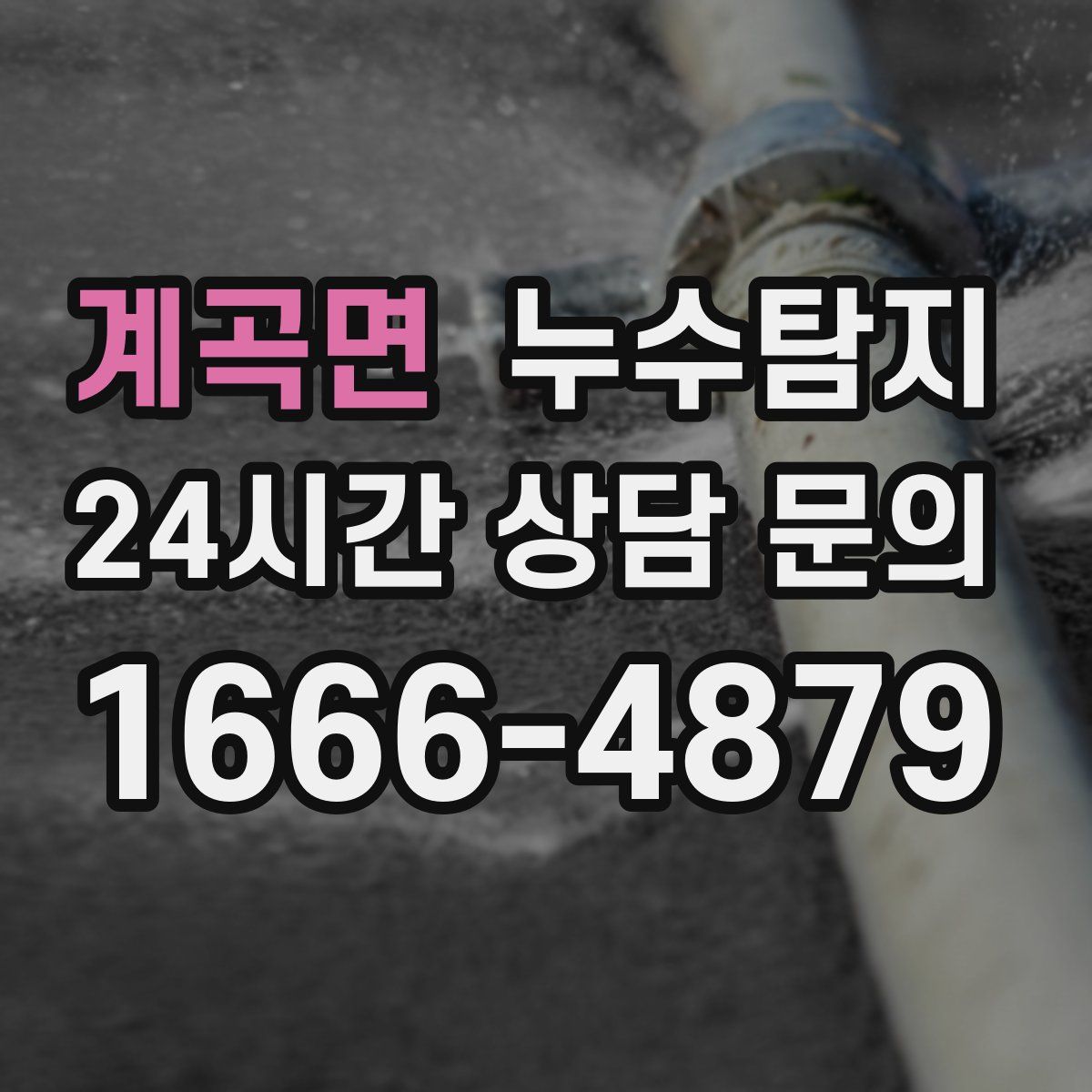 누수탐지