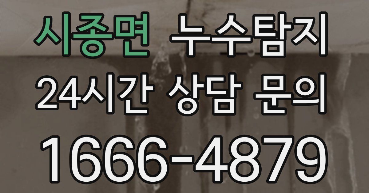 하수구막힘