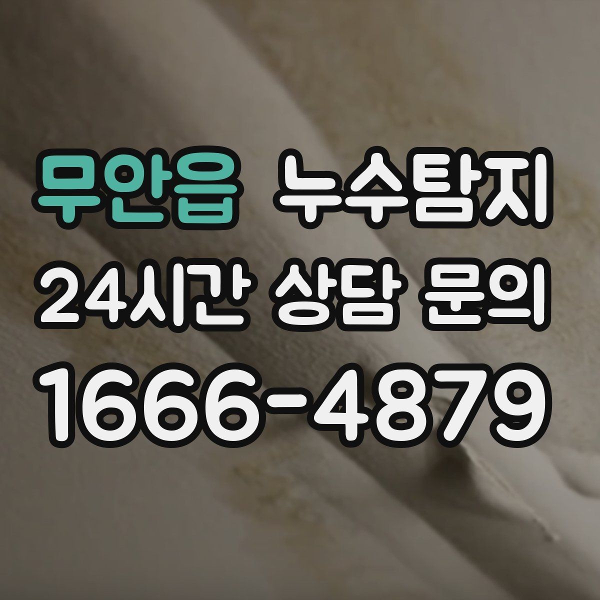 무안읍 누수탐지 빠른 대처가 비용을 줄인 사례