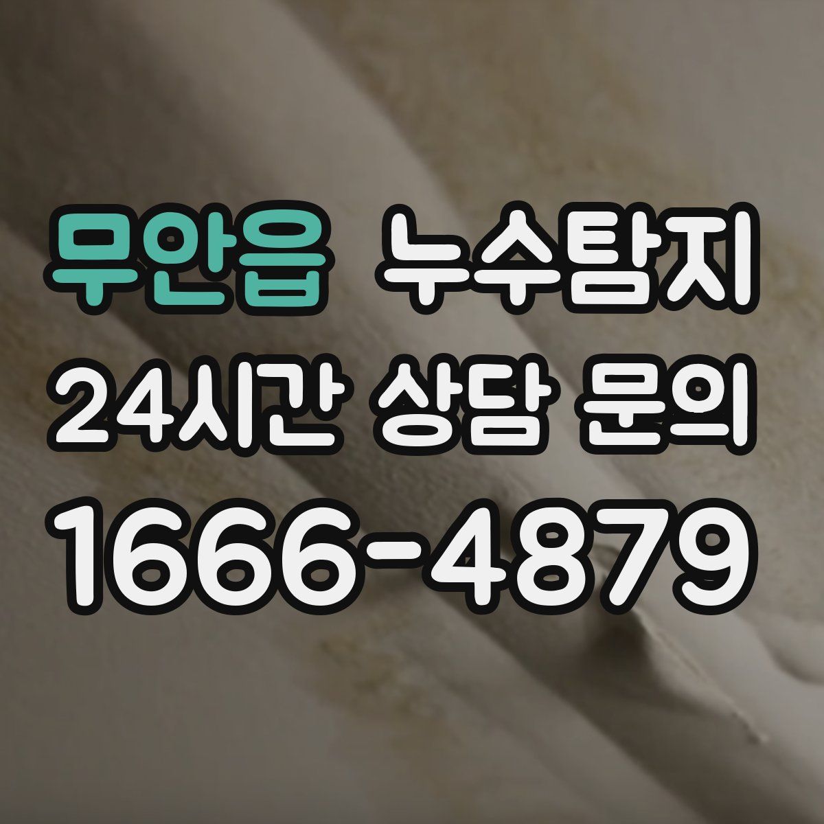 누수탐지