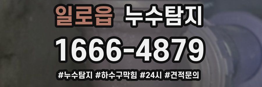 누수닥터 누수탐지