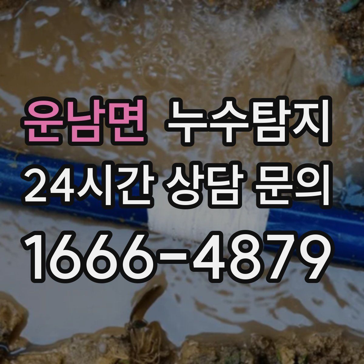 운남면 누수탐지 반려가정 배려 점검 후기