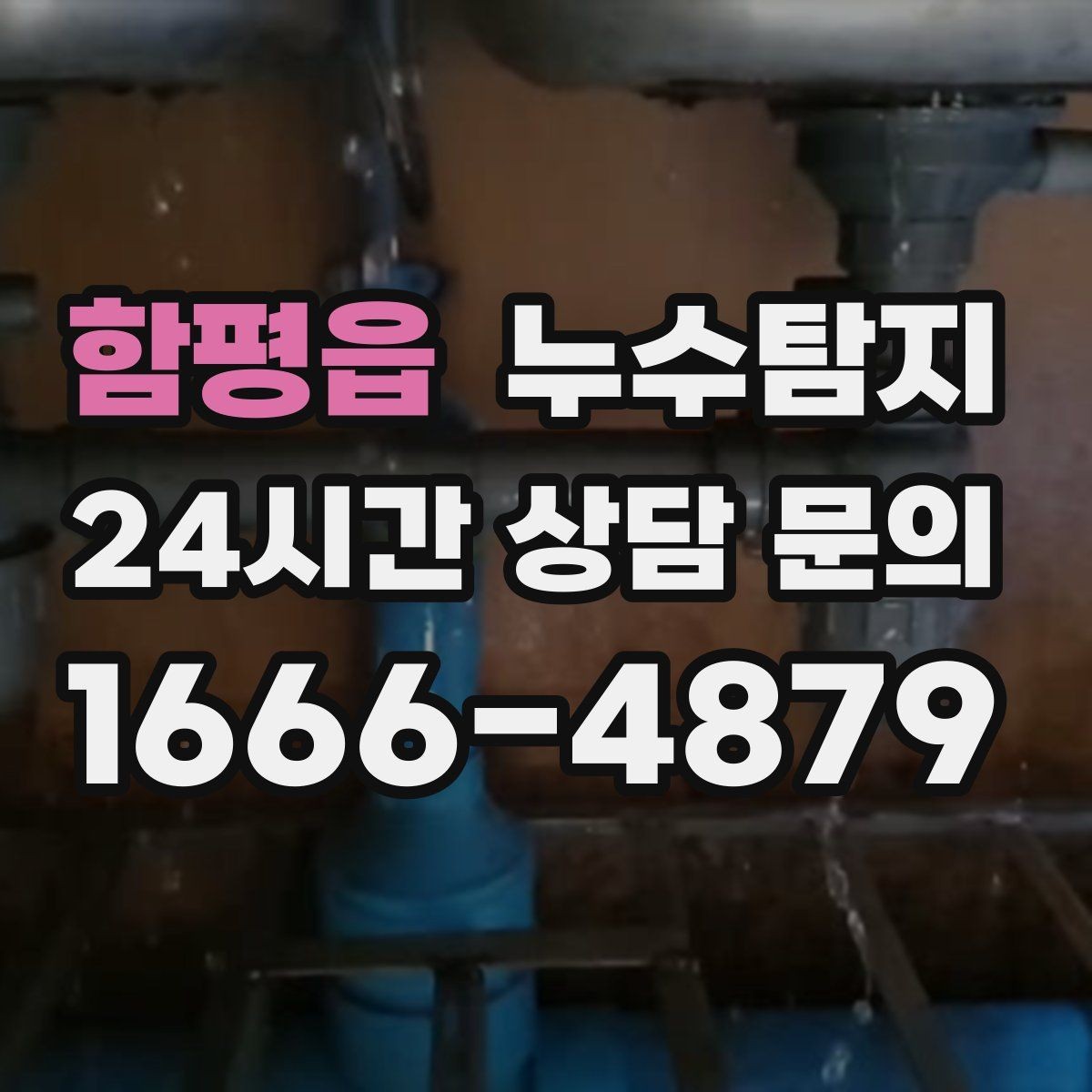 함평읍 누수탐지 우리 가족을 지킨 빠른 판단