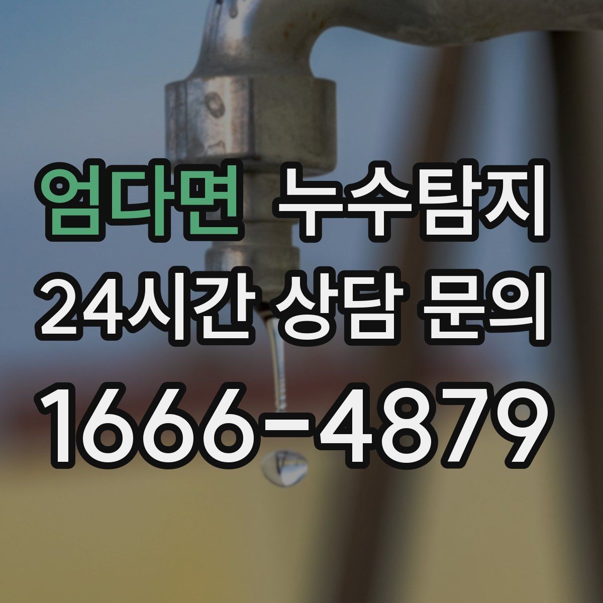 엄다면 누수탐지 진단부터 해결 복구까지 한번에 확실하게