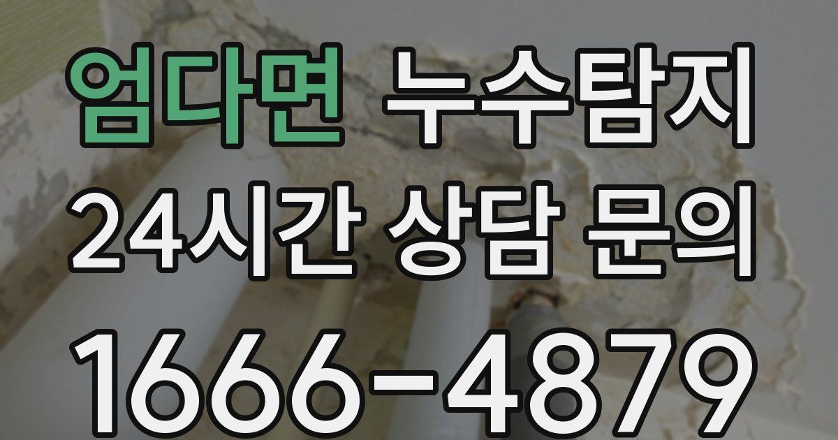 하수구막힘