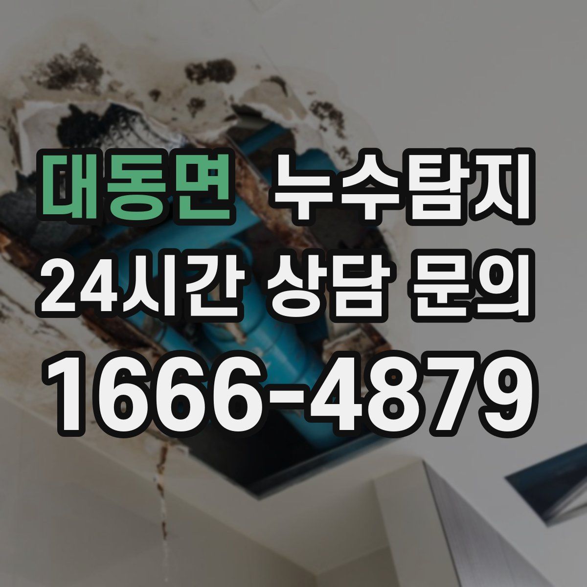 누수탐지