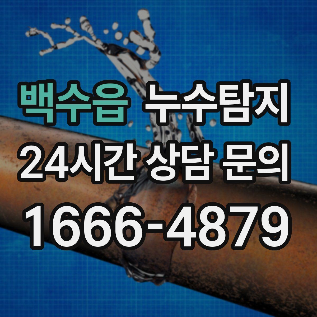 백수읍 누수탐지 바닥 습기와 장판 들뜸 해결기