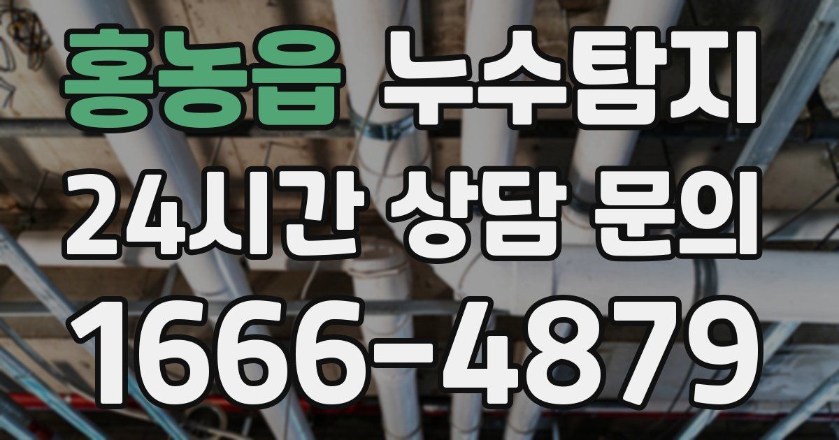 하수구막힘