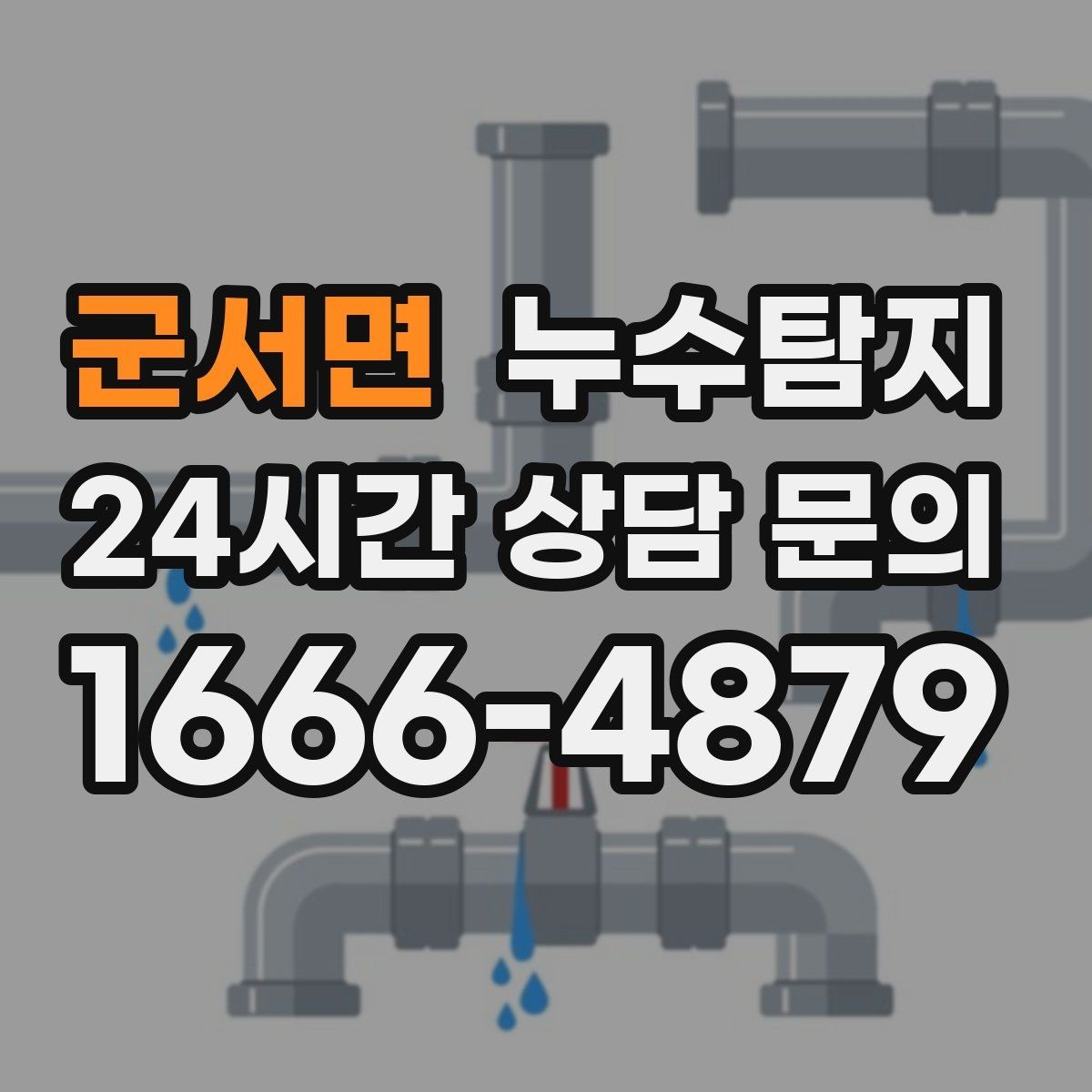 군서면 누수탐지 창고 곰팡이 제거와 재발 방지