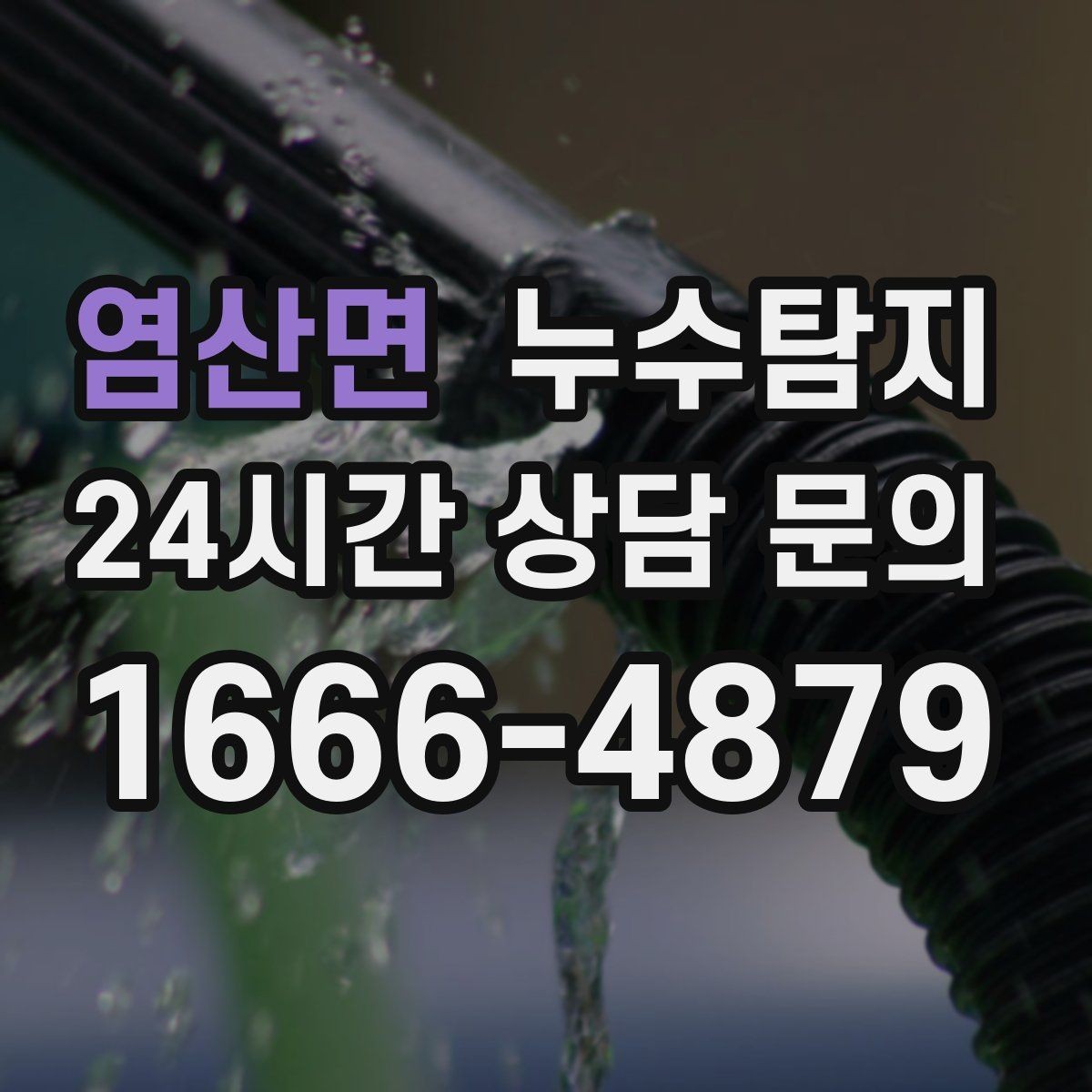 염산면 누수탐지 세탁실 배수 이상 확인 일지