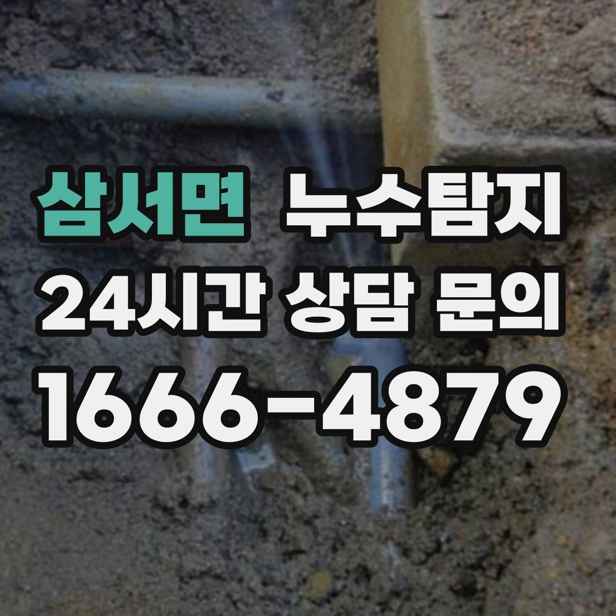 삼서면 누수탐지 욕실 곰팡이 원인과 해결 과정