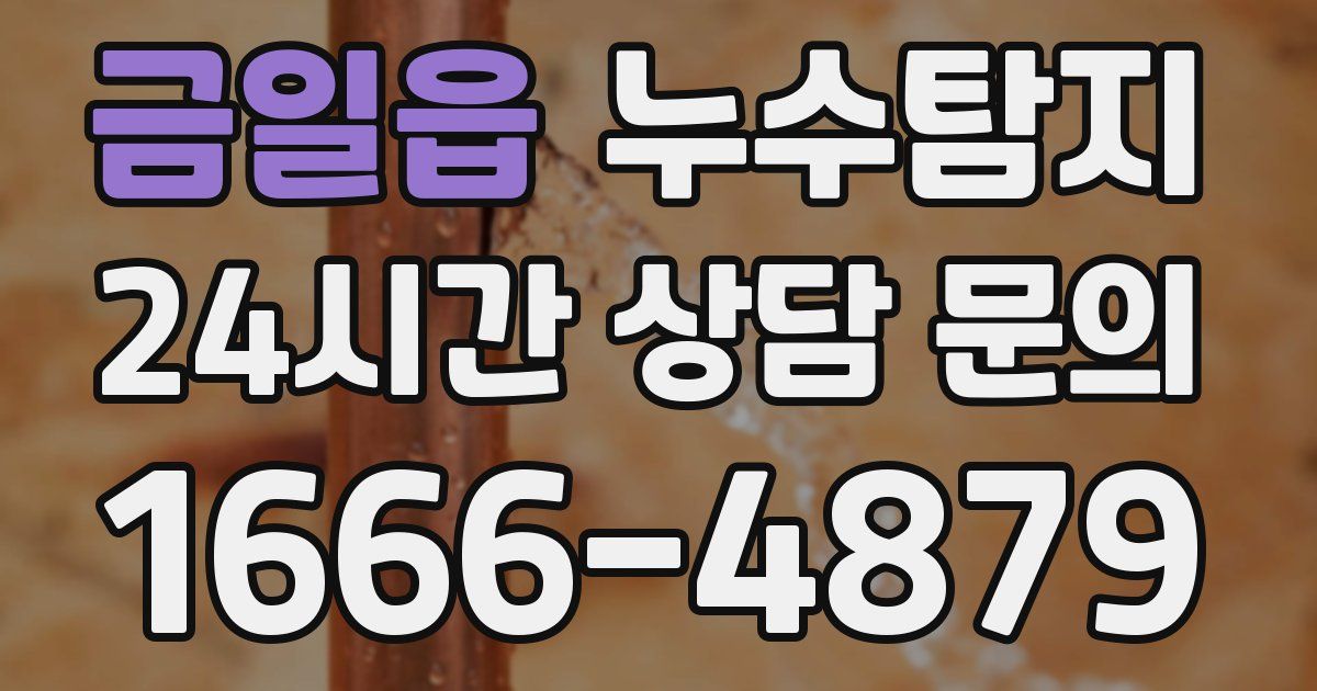 하수구막힘
