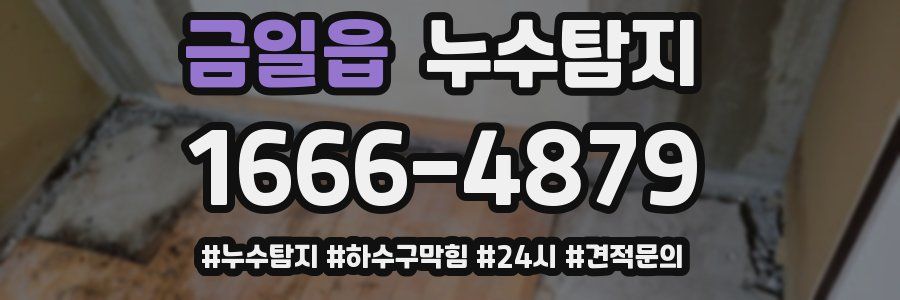 누수닥터 누수탐지