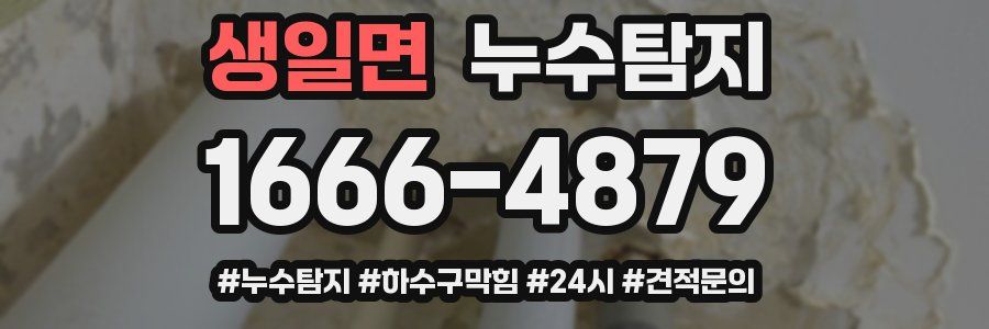 누수닥터 누수탐지