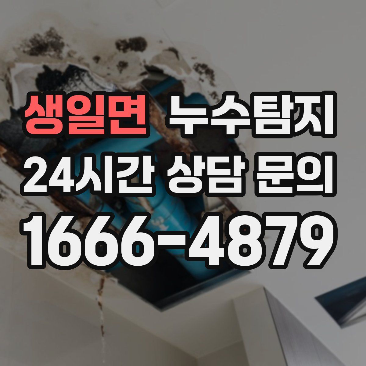 누수탐지