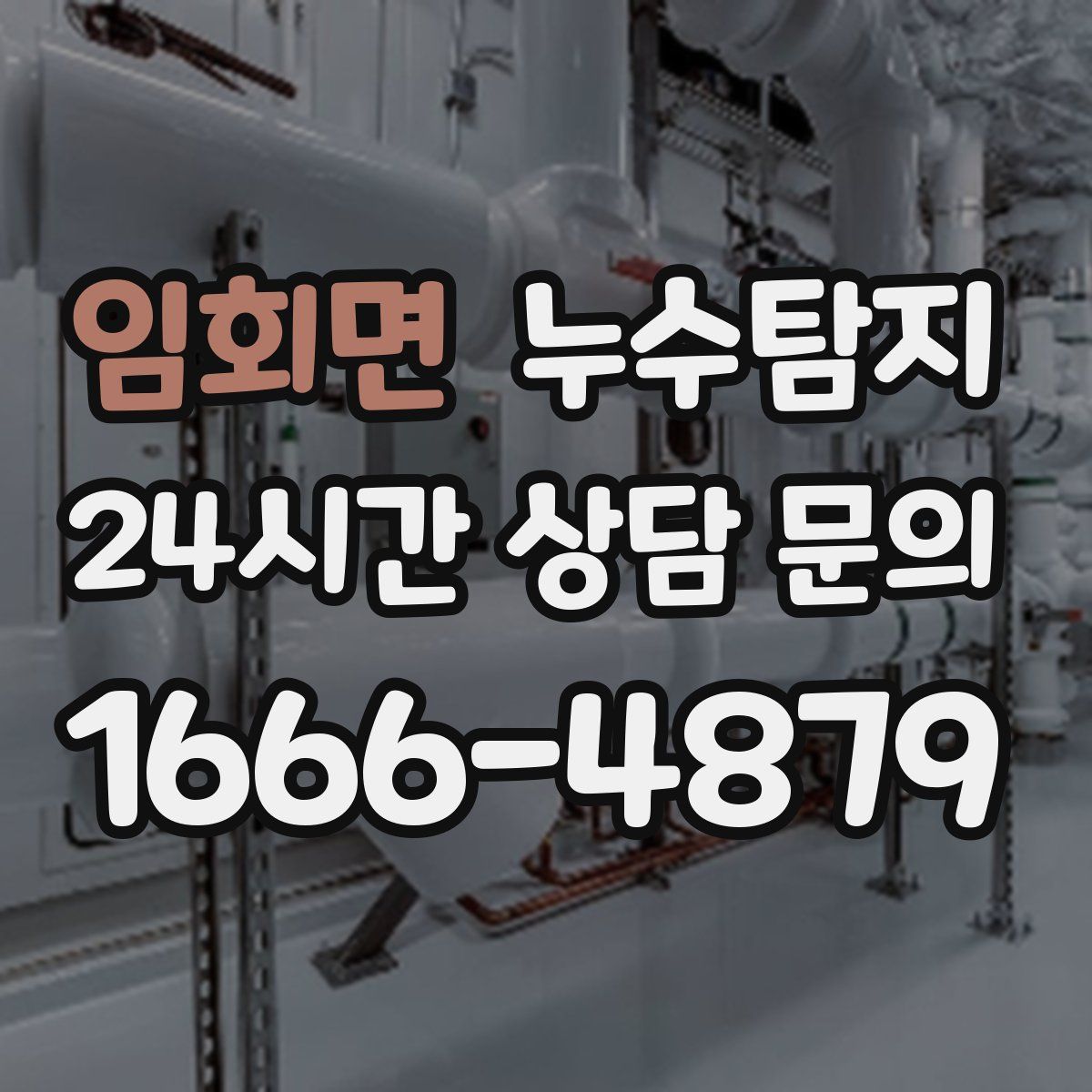 누수탐지