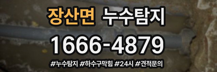 누수닥터 누수탐지