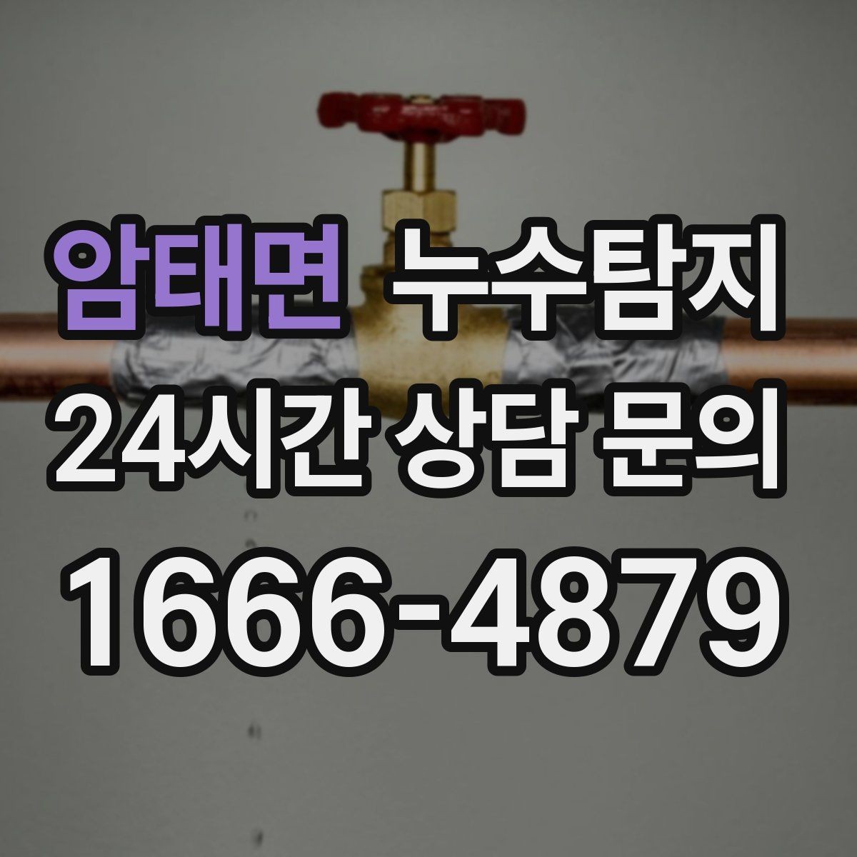 암태면 누수탐지 아이와 반려동물을 위한 안전 점검