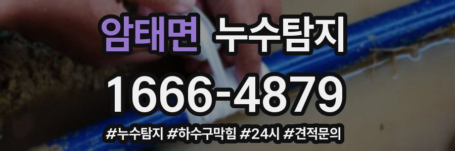 누수닥터 누수탐지