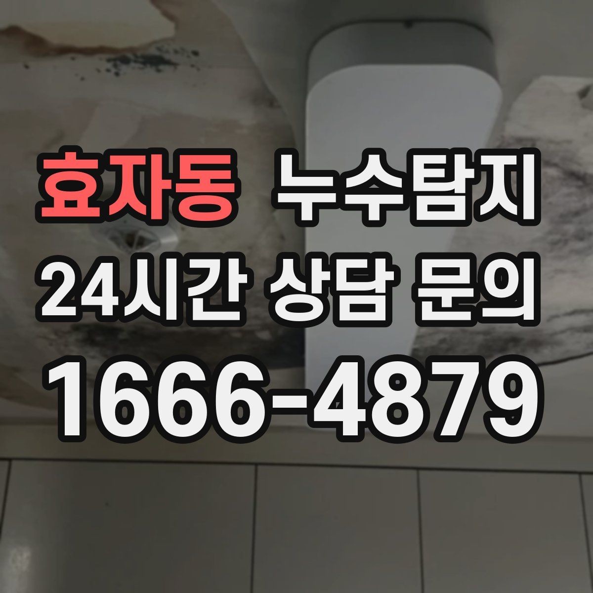 효자동 누수탐지 새집 곰팡이 원인 차단