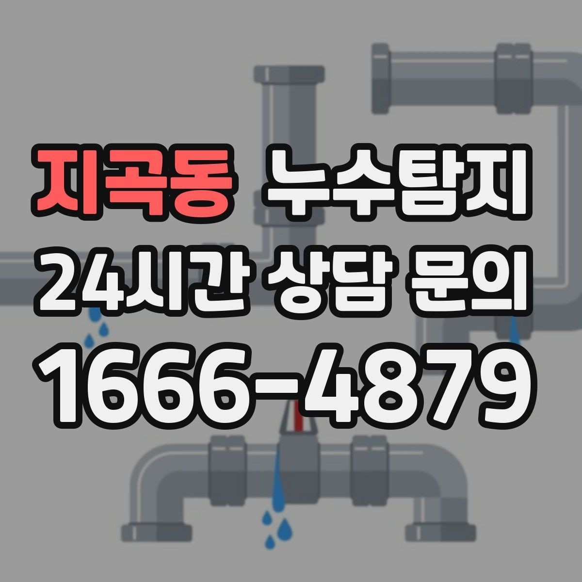 지곡동 누수탐지 난방 배관 누수 정밀 탐지