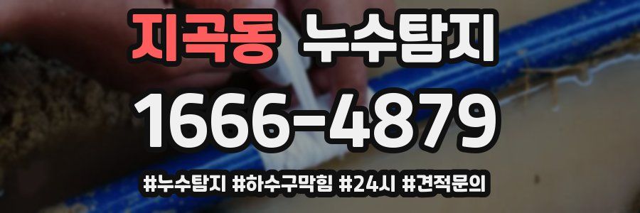 누수닥터 누수탐지